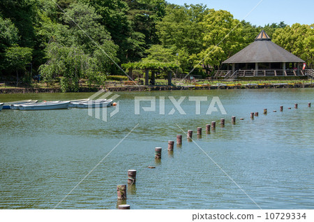 Chiba Park in Chiba City, Chiba Prefecture Chiba Park in Chiba City, Chiba Prefecture 10729334