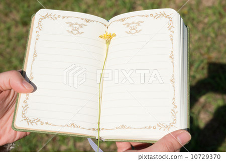 diary diary 10729370