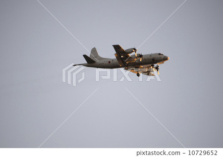 自衛隊在夕陽下閃閃發光 自衛隊在夕陽下閃閃發光 10729652