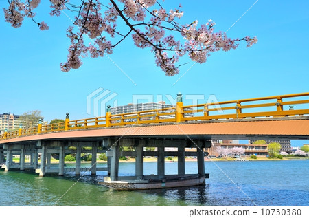 Seta's Tang Bridge Seta's Tang Bridge 10730380