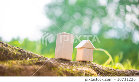small house  10731226