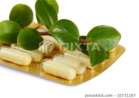 Tablets with a plant close up 10731267