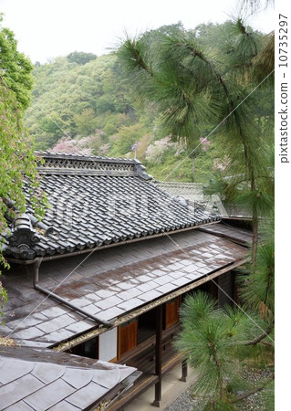 苧麻Tanaka Honke的房子 10735297