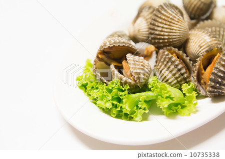 Blood Cockle 10735338