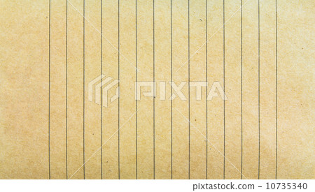 page ripped 10735340