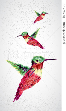 Humming bird geometric illustration. 10737529
