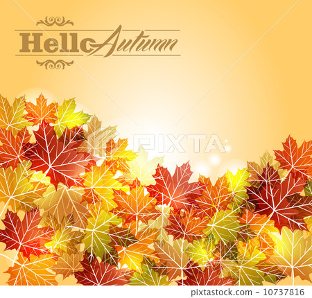 Vintage autumn leaves transparency background. EPS10 file. Vintage autumn leaves transparency background. EPS10 file. 10737816