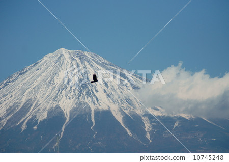 富士山 富士山 10745248