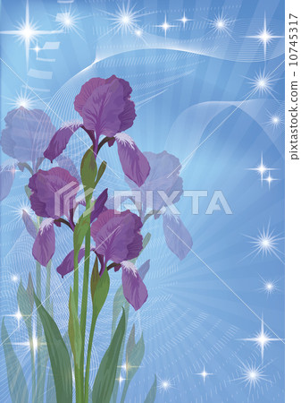 Flowers iris for holiday design 10745317