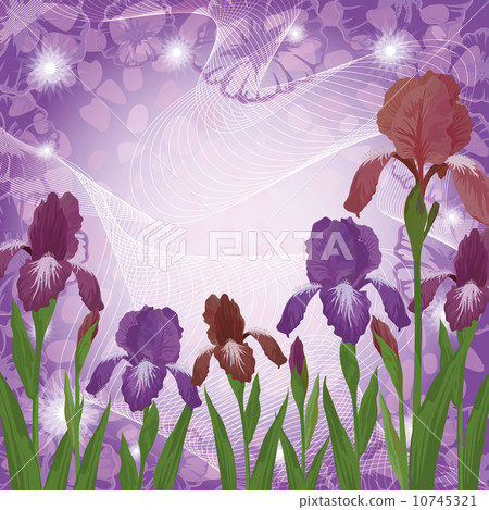 Flowers iris and ipomoea contours 10745321