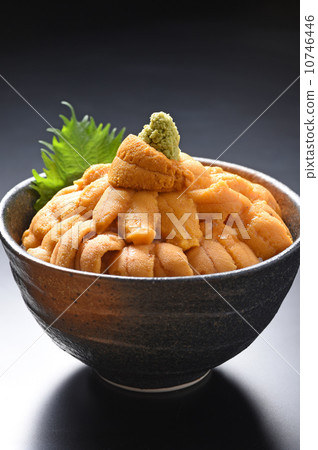 Unidonburi 10746446