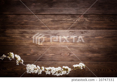 Summer Flowers on wood texture background Summer Flowers on wood texture background 10747331
