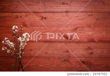 Summer Flowers on wood texture background Summer Flowers on wood texture background 10747352