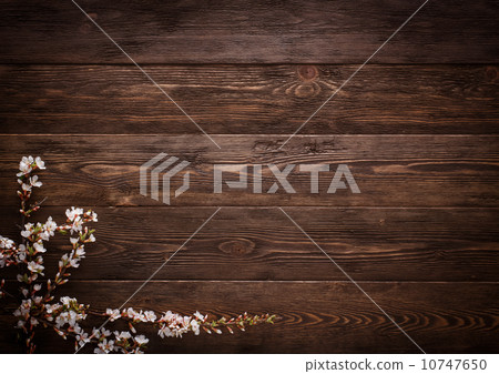 Flowers on wood texture background 10747650