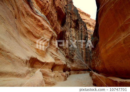 Seek at Petra ruins 10747701