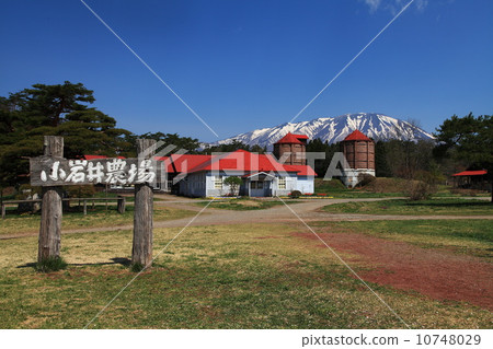 Spring of Koiwai Farm 10748029