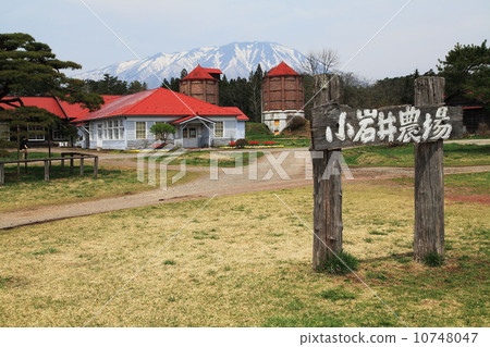 Koiwai農場的春天 10748047