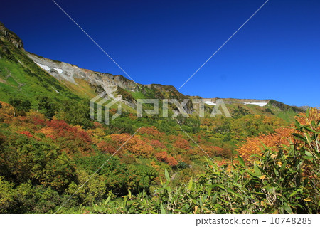 Takaneishigahara ridge 10748285