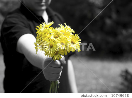 Yellow flowers 10749658
