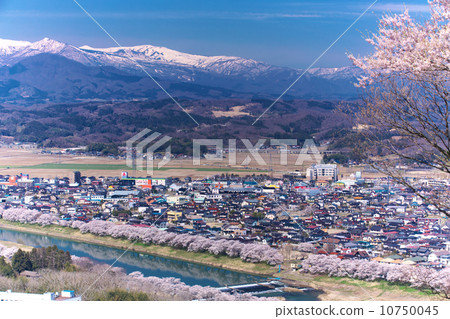 Miyagi Shiroishi City Ogawara Shiraishi River Tsutsumi Senbonzakura Miyagi Shiroishi City Ogawara Shiraishi River Tsutsumi Senbonzakura 10750045