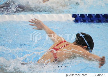 蝴蝶 蝴蝶 10750543