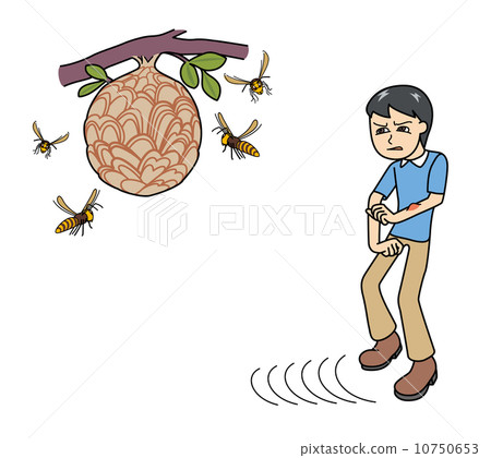 Sparrow bee ○ ○ things to go away from the nest 10750653