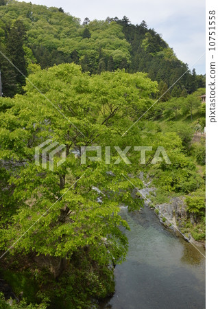 東京村春天 10751558