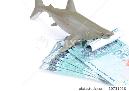 Grey toy shark and stacked of money: A concept of loan shark 10751918