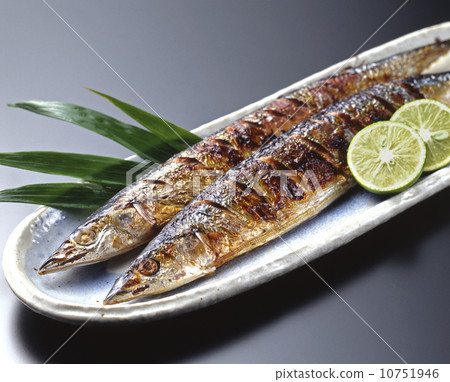 Grilled saury 10751946
