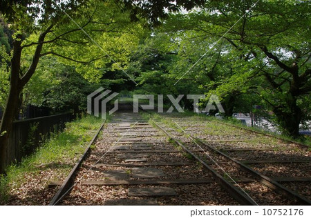 Rake Ink Line Rake Ink Line 10752176