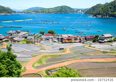 日本的水稻梯田和春天的海 10752416
