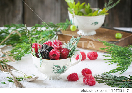 Cup of raspberries and blackberries 10753147
