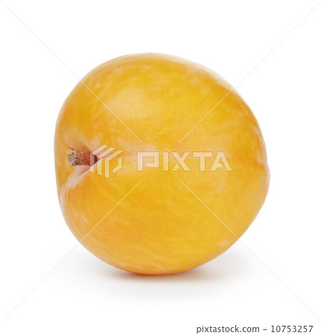 single yellow plum 10753257