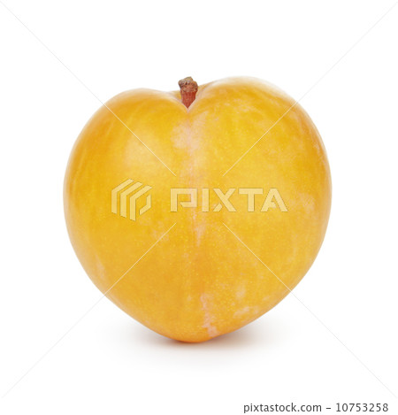 single yellow plum 10753258