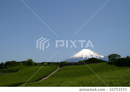 富士山 富士山 10753553