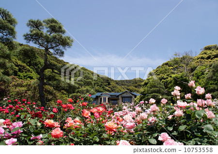 鎌倉文學館 鎌倉文學館 10753558