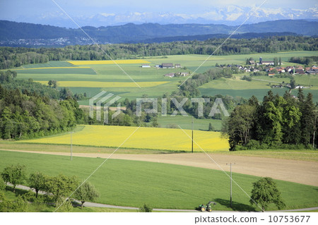 蘇黎世郊區 10753677