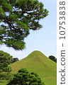 Suizenji Park 10753838