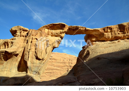 Umm Fruth Ishibashi 10753903