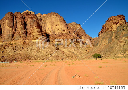 Lawrence's Fountain Lawrence's Fountain 10754165