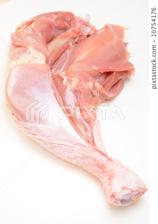 雞肉有美味的骨頭 10754176