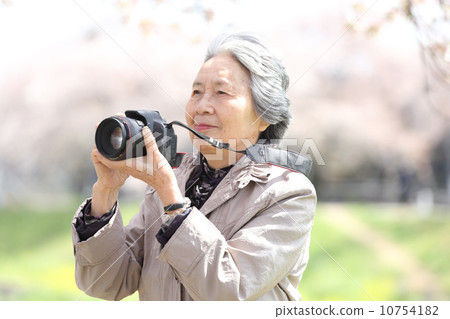 Senior with cherry blossoms and camera 10754182