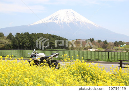 春天的富士山 春天的富士山 10754459