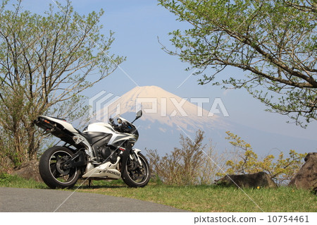 Mt. Fuji in green 10754461