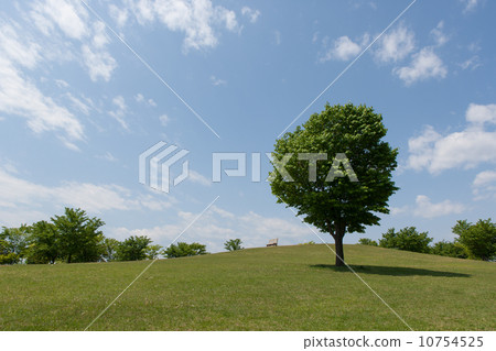 Bench on the hill Bench on the hill 10754525