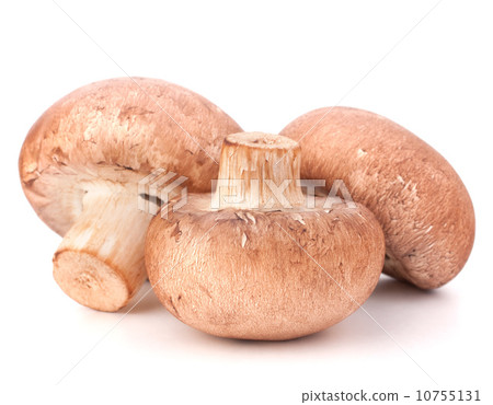Brown champignon mushroom Brown champignon mushroom 10755131