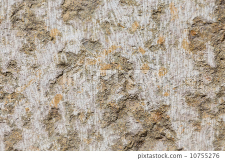 Stone with concrete texture 10755276