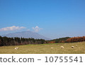 Koiwai farm in late autumn, pasture land of sheep and Iwate Koiwai farm in late autumn, pasture land of sheep and Iwate 10755541