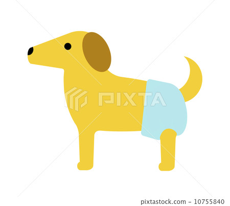 A dog wearing a diaper 10755840