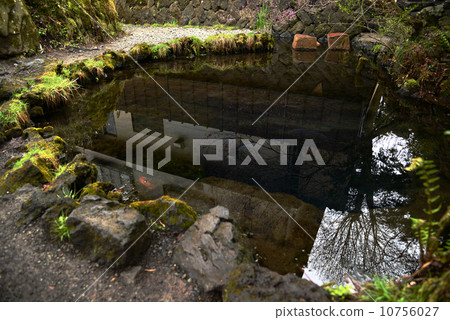 忍野Hakkai池塘 10756027